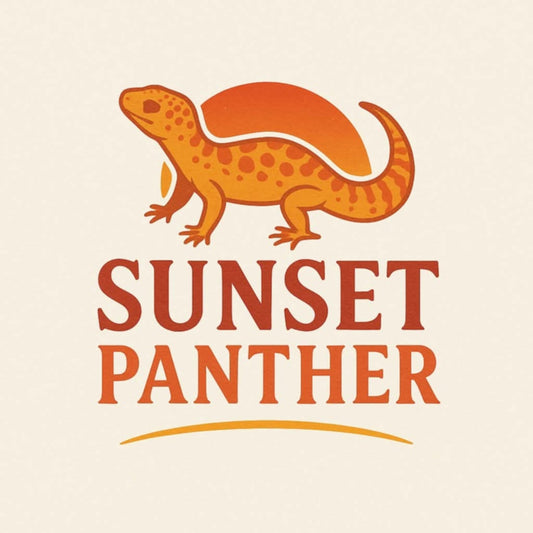 Ma future lignée Sunset Panther – Ça va briller dans la terrarium, gang !